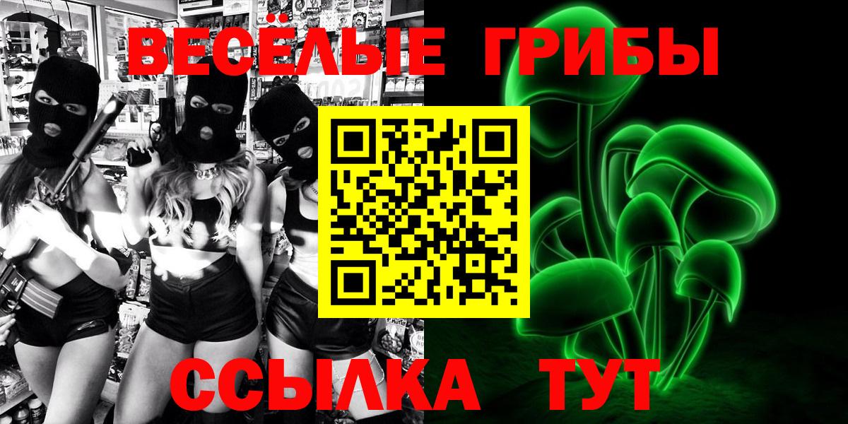 Прохладный  Псилоцибиновые грибы GOLDEN TEACHER  Вход с VPN 