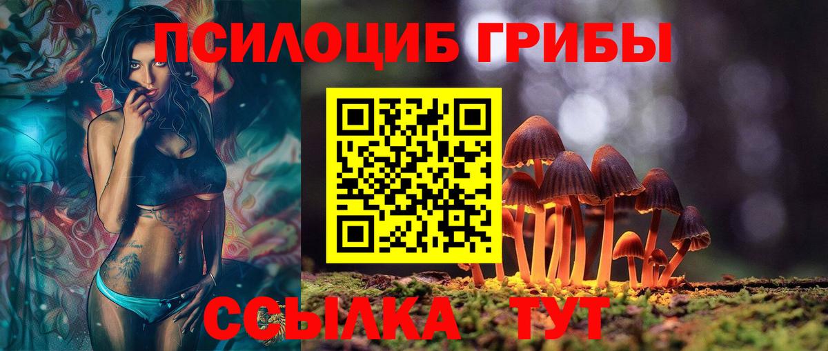 Псилоцибиновые грибы GOLDEN TEACHER Прохладный
