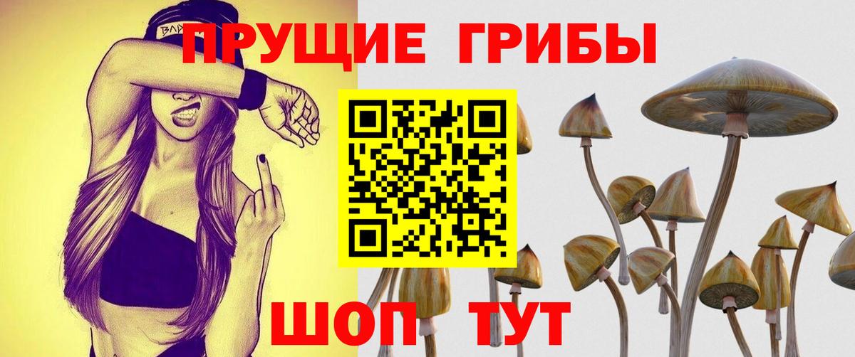 Меф МЯУ МЯУ кристаллы  Экстази  Гашиш  Каннабис  Cocaine  Прохладный  Мефедрон  Вход с VPN 